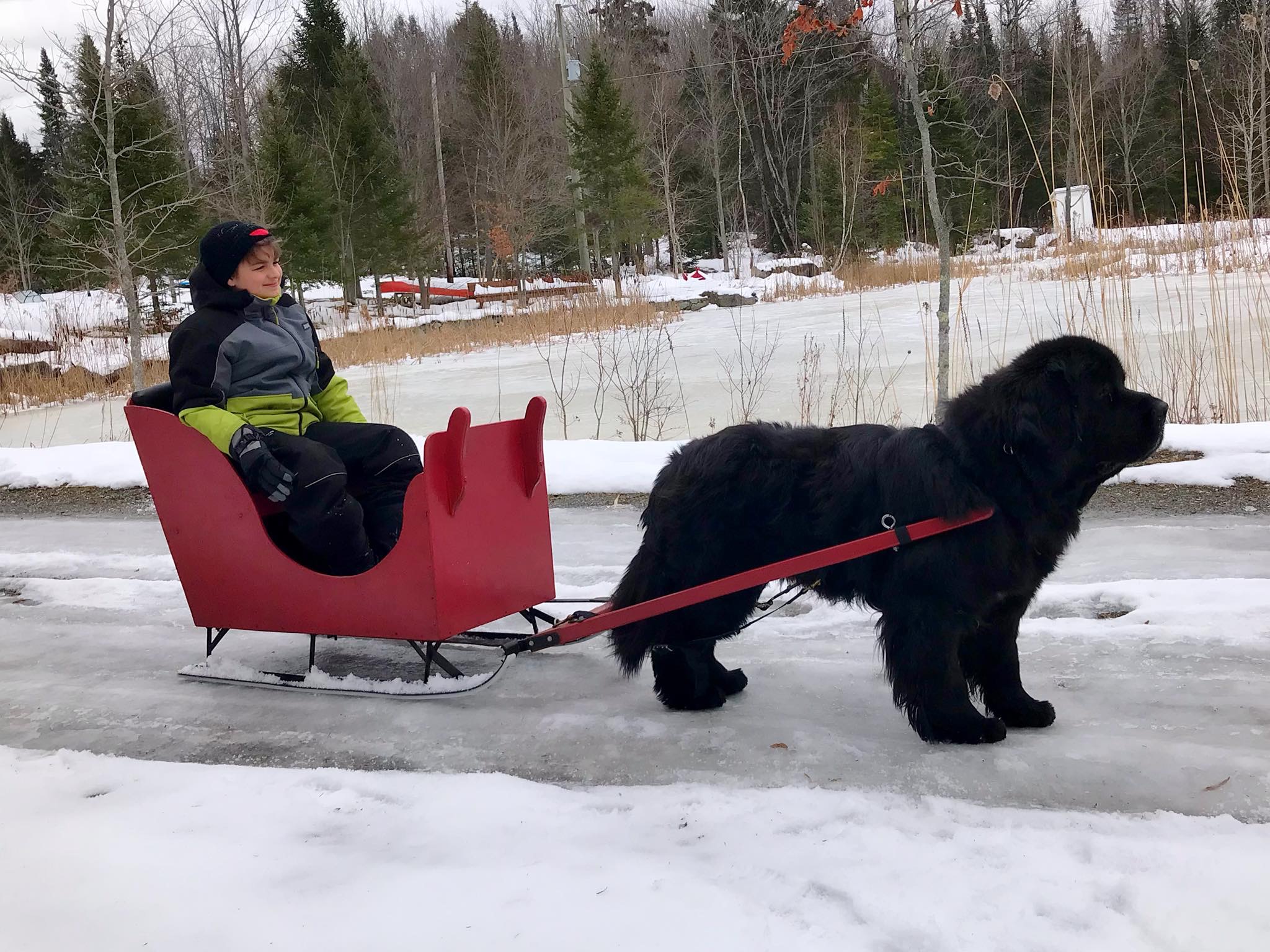 24D54DF2-269A-4D6F-81C1-1BFEE64AA209