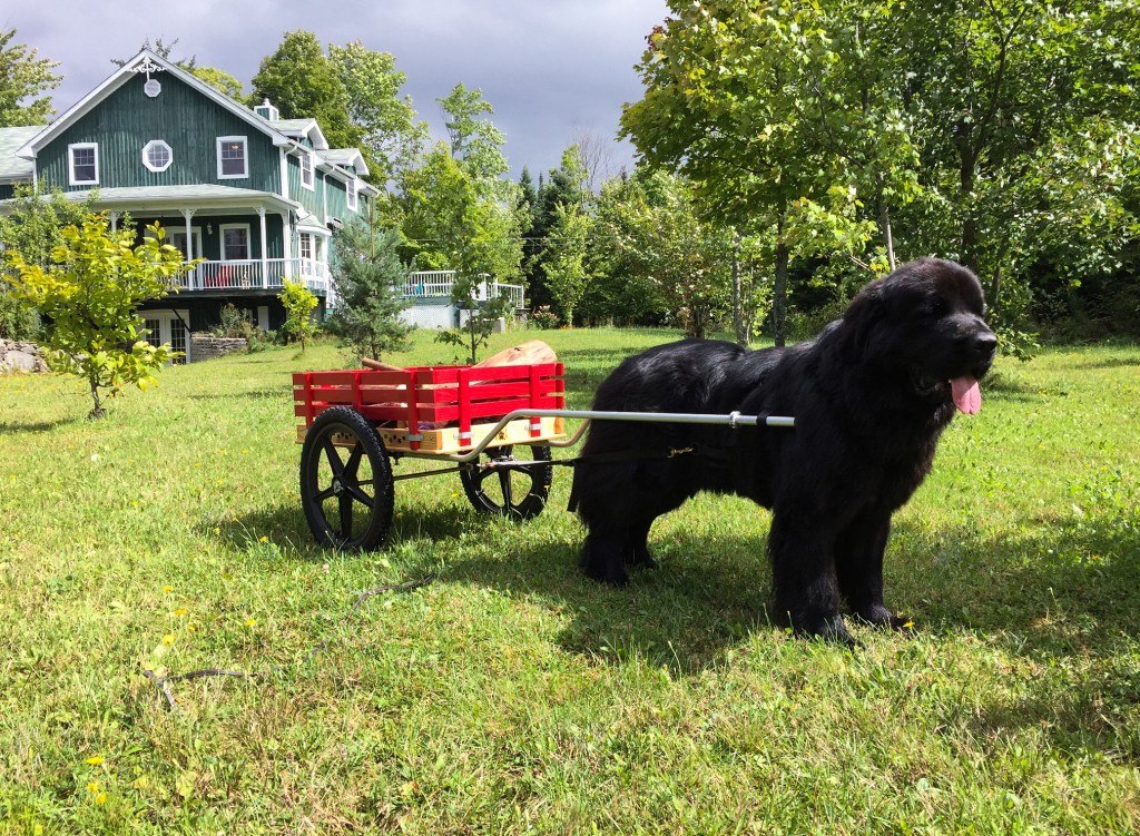 474689CC-DA64-4CEF-98B6-8B2B2B1047FE