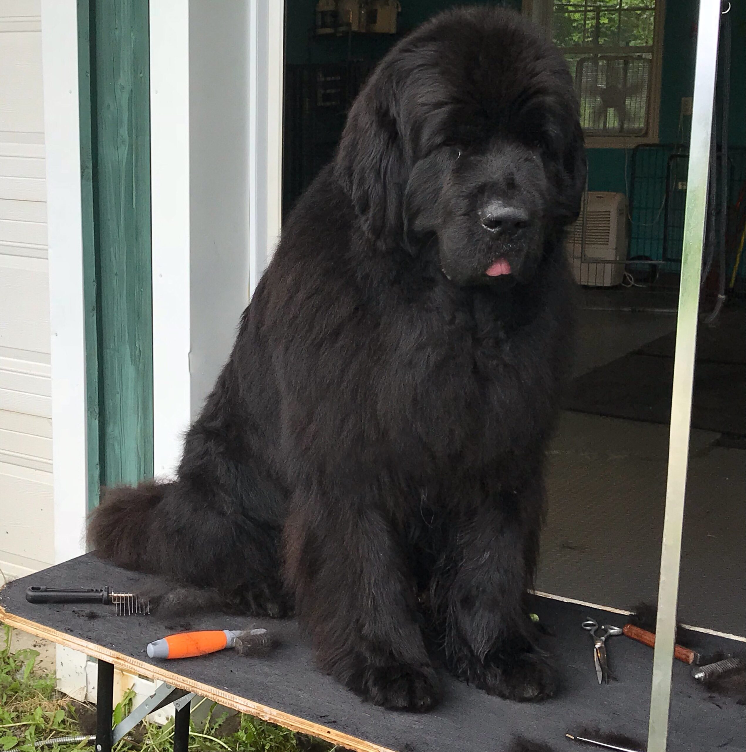 D1D3B16E-D357-4E97-9DA4-DA89E5D3F290