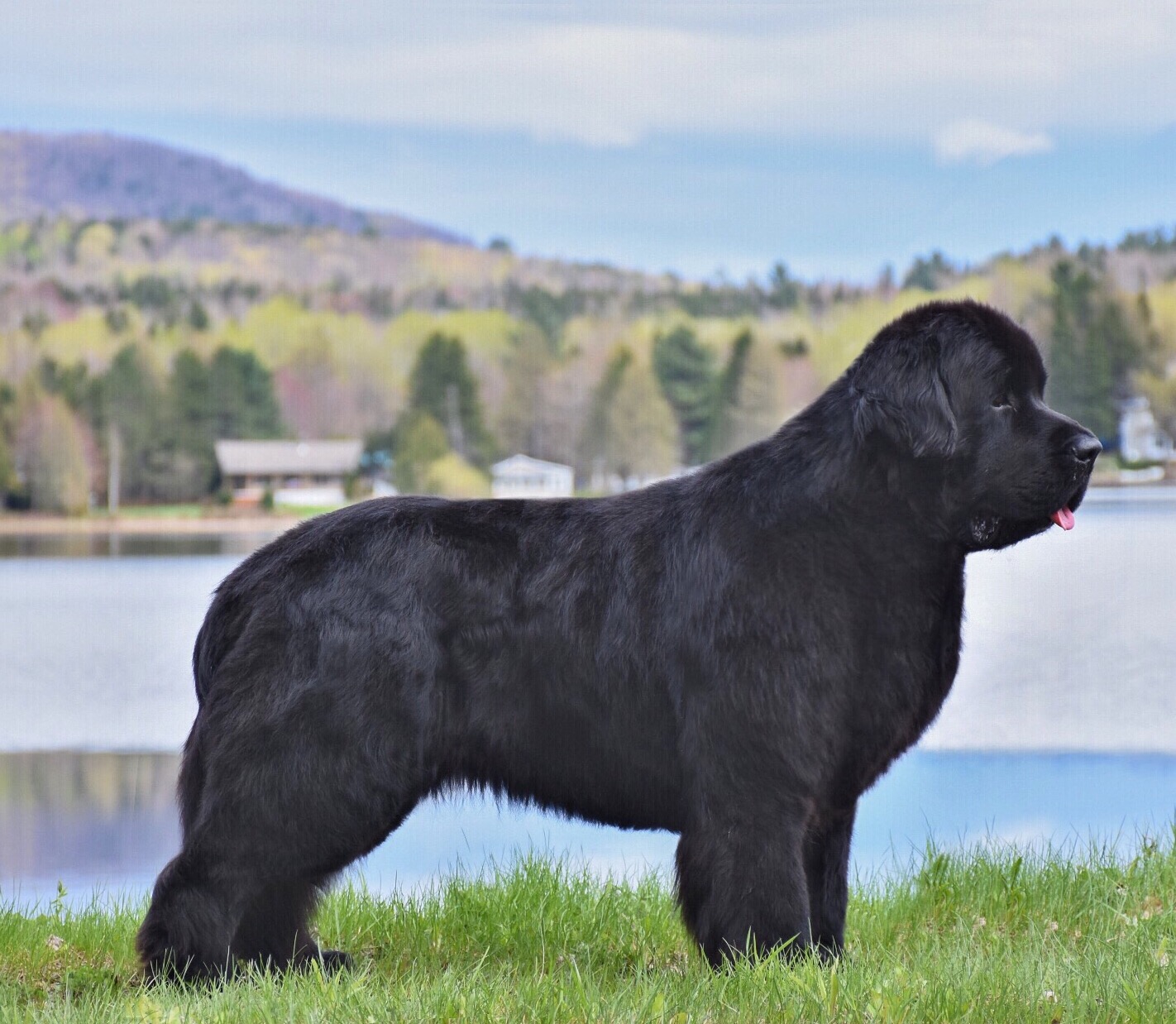 ED7B32FE-18BC-4026-8006-253A9192EE4C