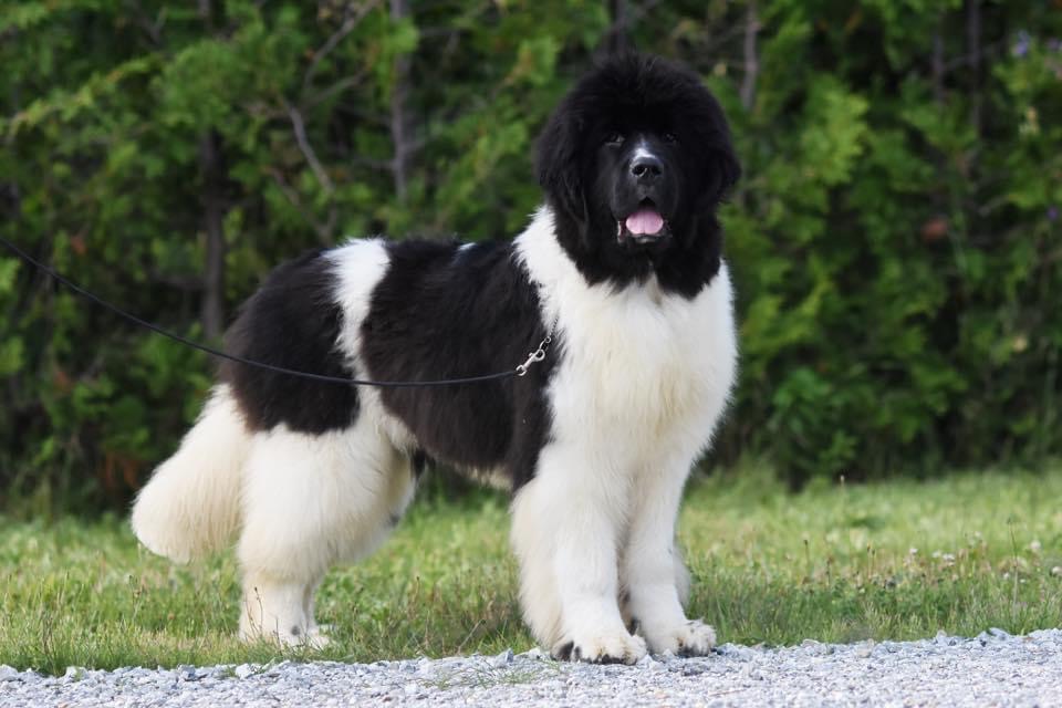 280C062A-3A29-4BFE-8F11-0DDFE15A0E5B