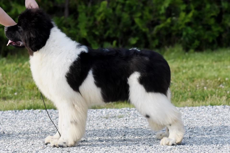 399D4397-40CA-495C-ADF0-35E3ECD16EC0