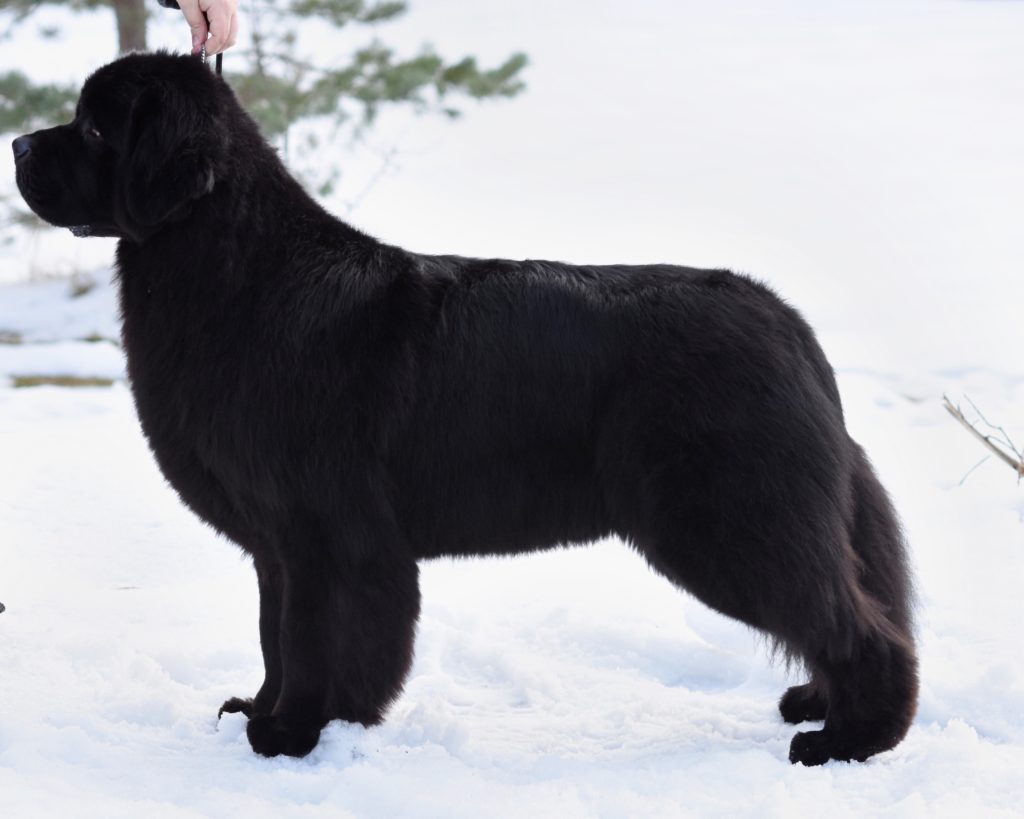 6D2413BC-EA40-48FC-85A2-BA1AD8D08047