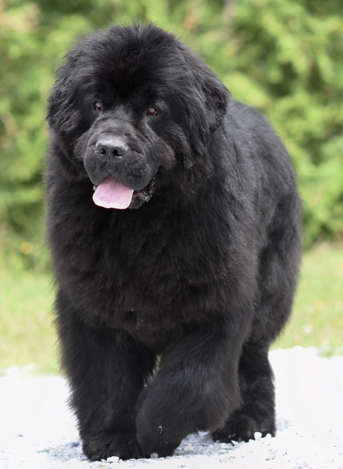 72C1EC35-0878-40C1-84C2-A19966A55B9D