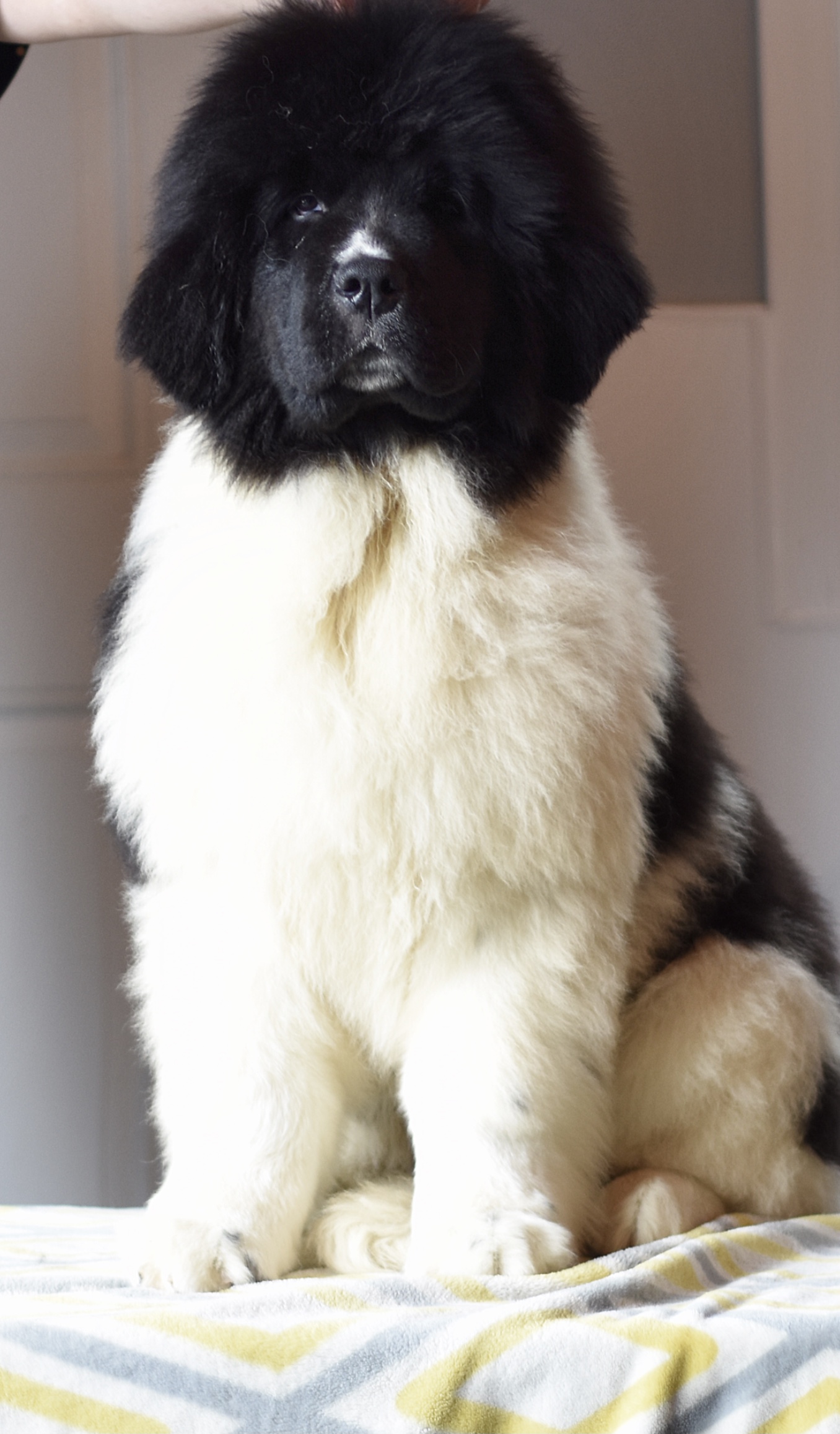 8C057D8F-401D-45B7-AE8A-B406A5143820