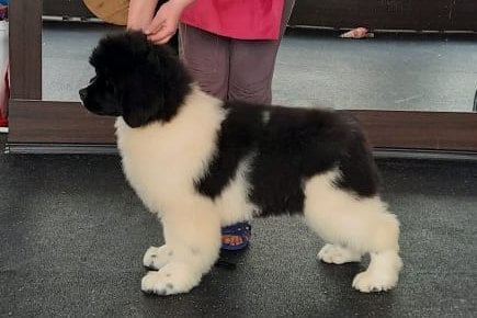 8F3680B3-26B1-4198-9E67-7D14CB162DEE