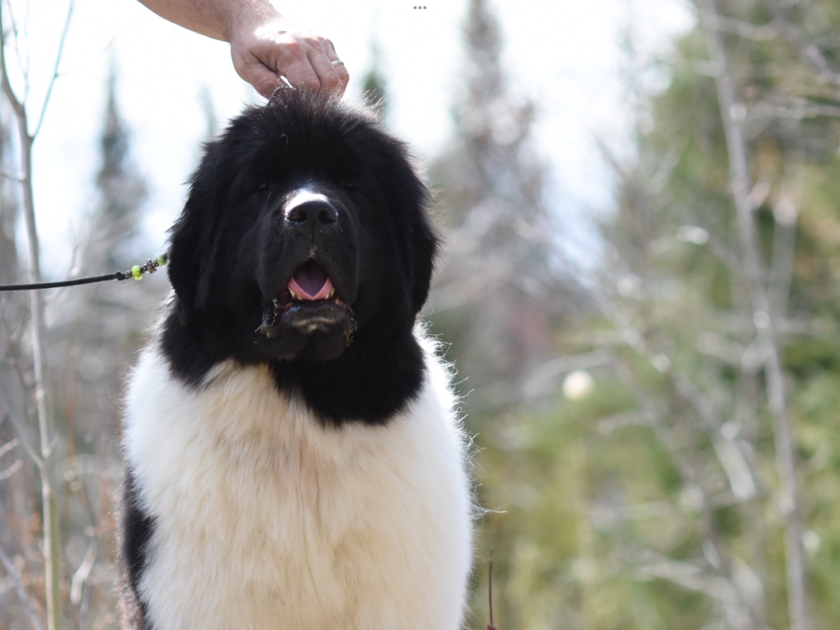 96195E69-BA23-4BA4-ACF2-5019CEA5F3A3