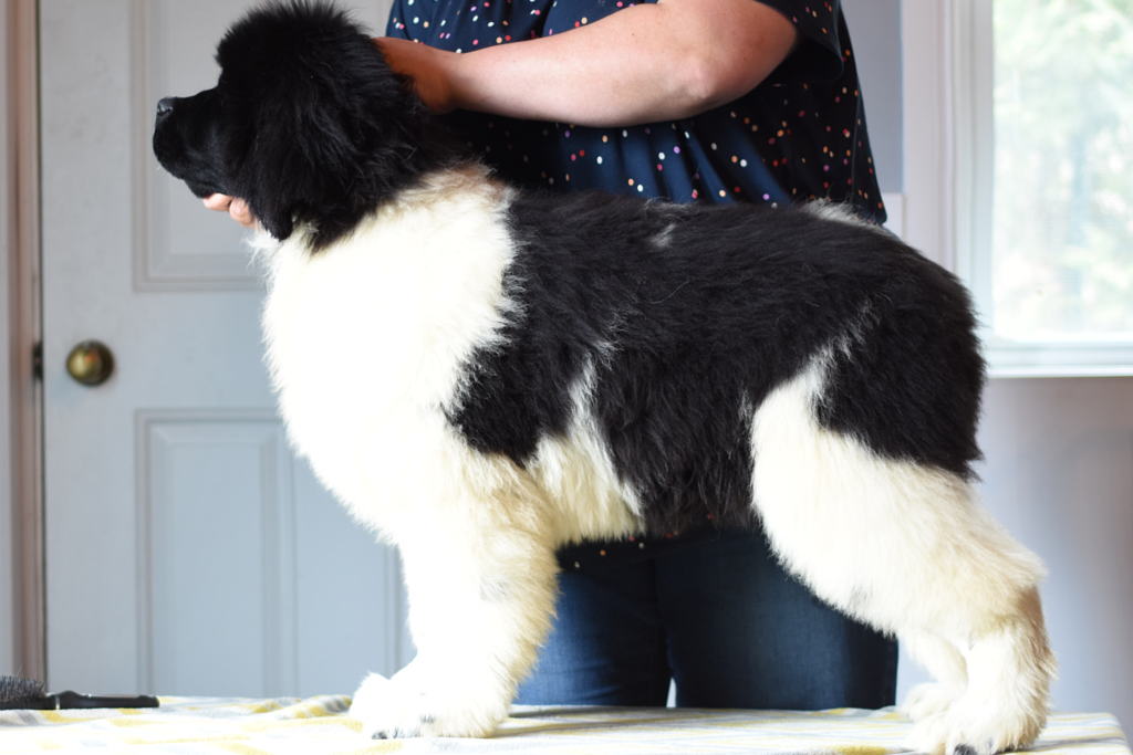 A09387DA-B857-4255-A397-0427ABE7B3DE