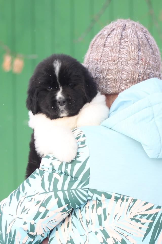 CC05D4FB-571D-4054-B04F-F84EB5016CE6