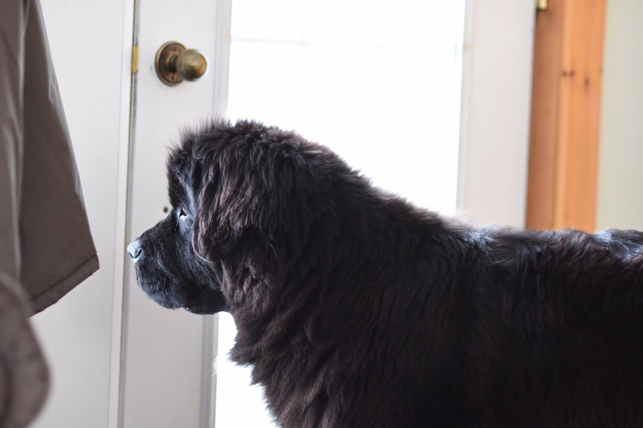 1402A194-21F3-4067-B4B3-1E1F3BE4A2A5