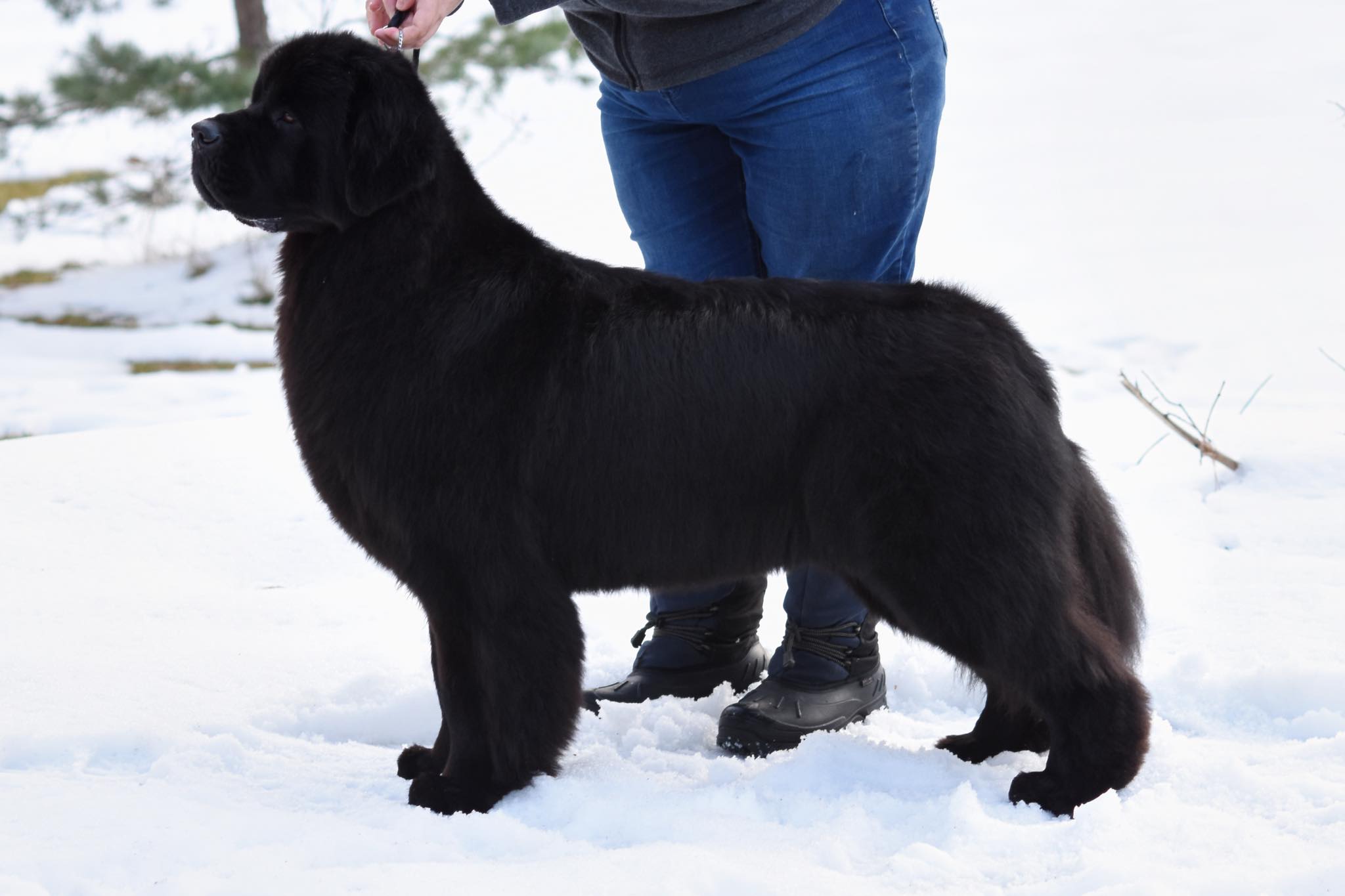 158E6A8B-F178-48FA-978A-0BE3957C0983