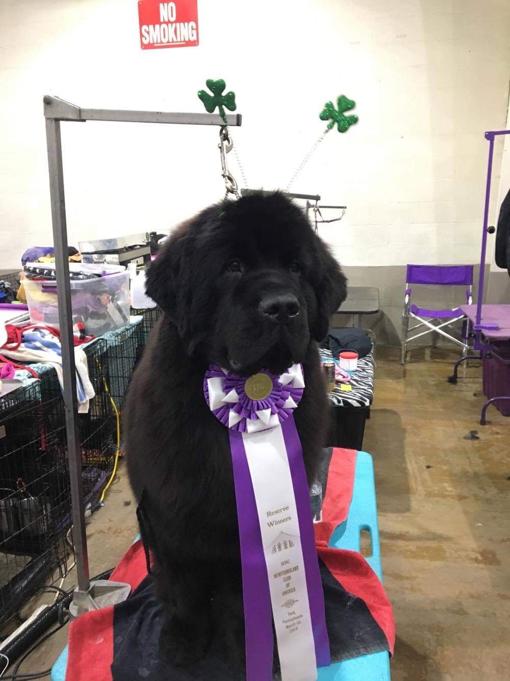 1DA995DA-77A1-473C-9228-F0B39F6A964A