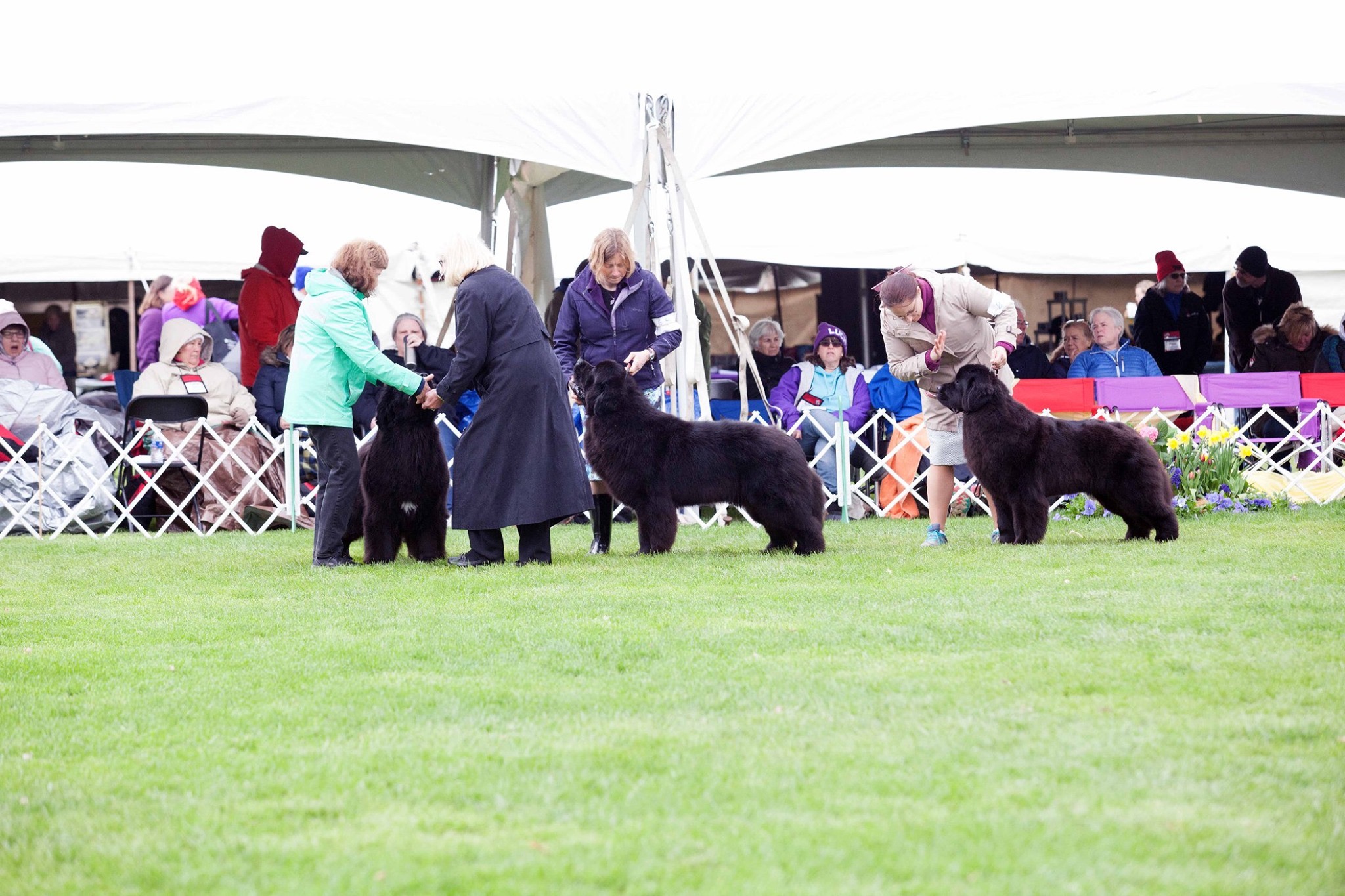 1E72A676-5C71-4C5C-AF62-88F84D1E59A1