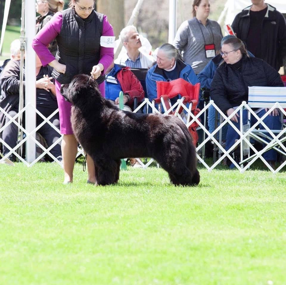 35ABF34F-55CE-437B-AE59-6E40F70490D0