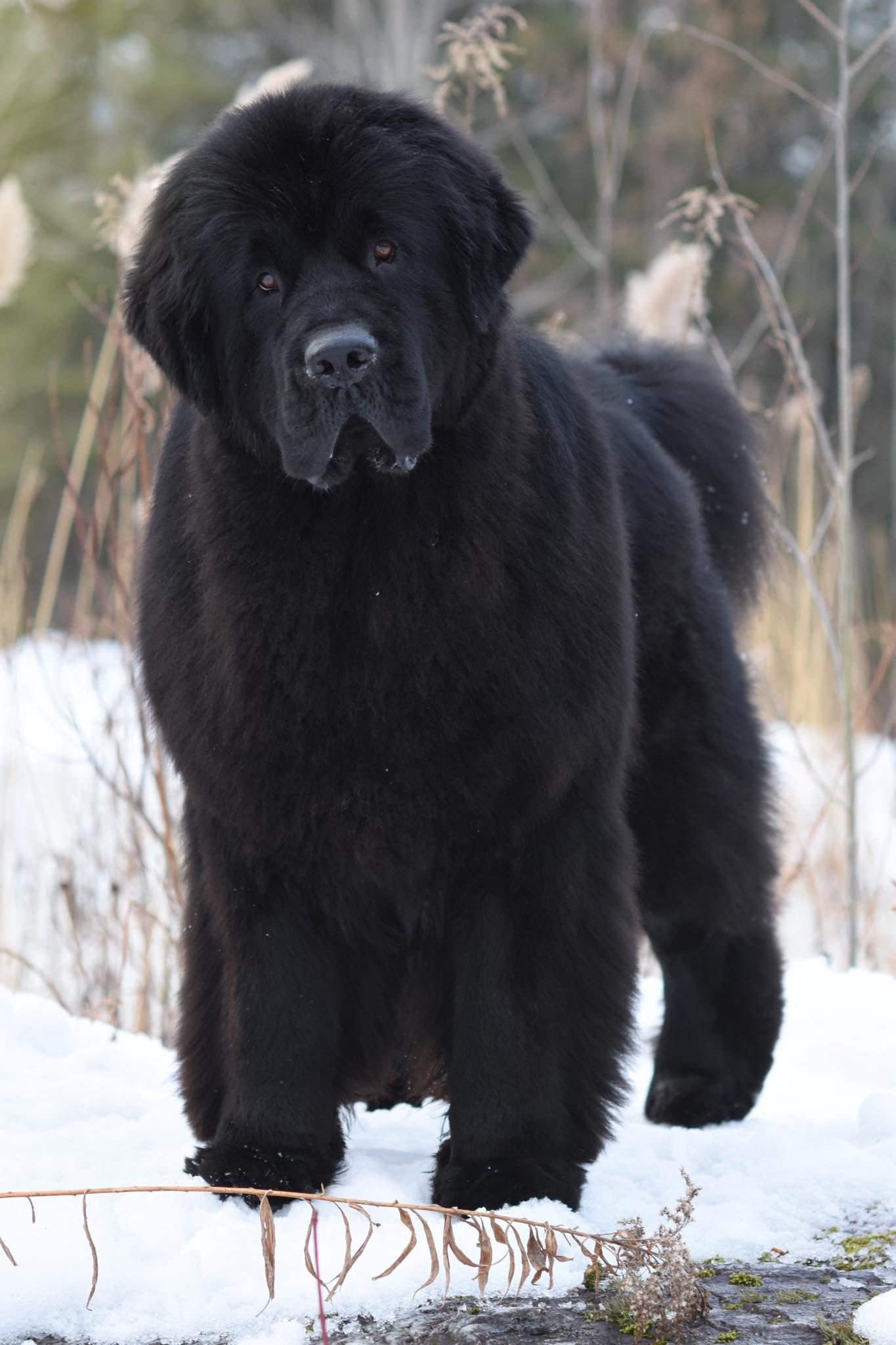 41199BDB-0231-4AA9-992D-74A968559146