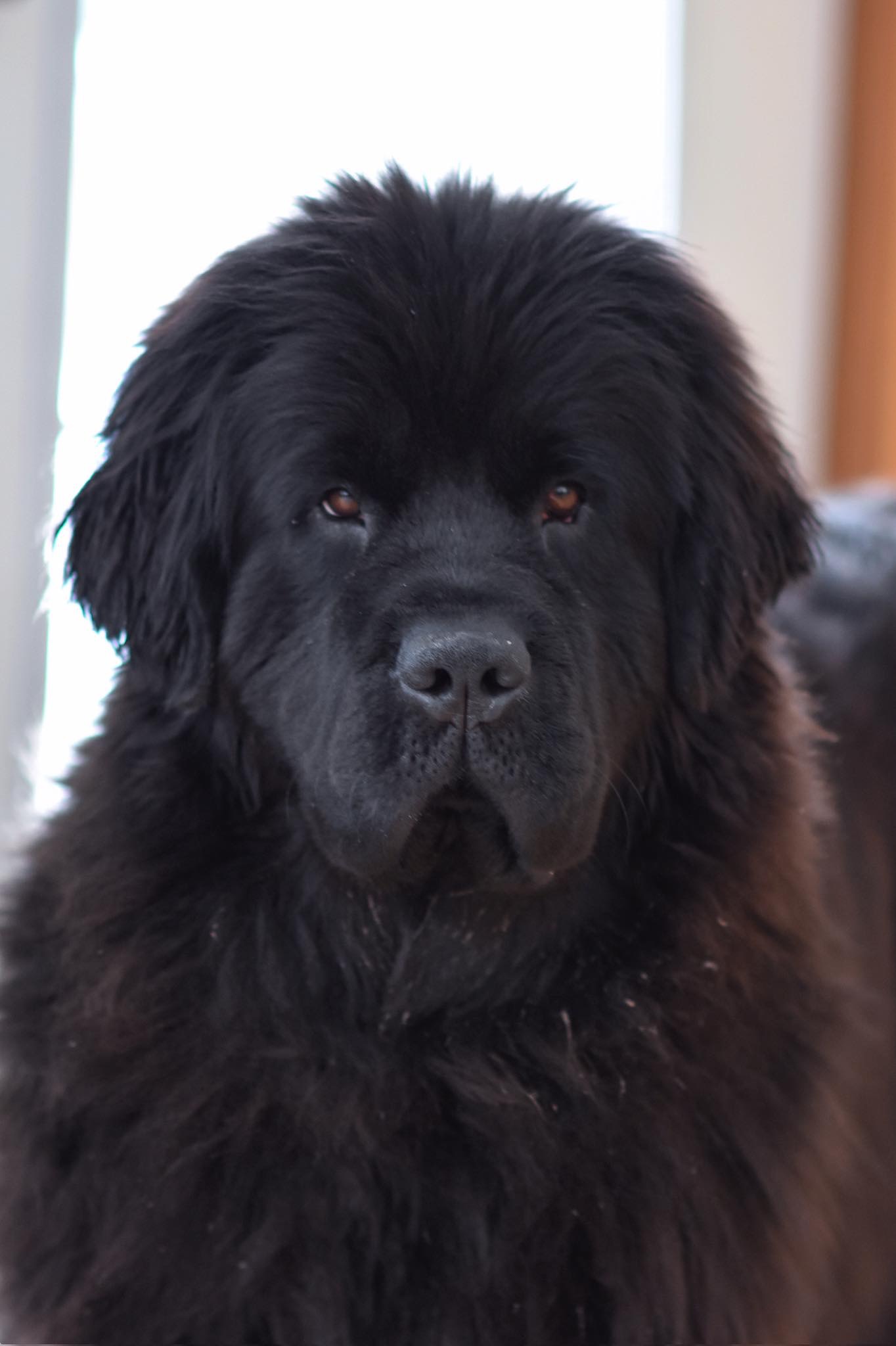 58B26F74-6447-4B6B-B417-AF7DA8741838