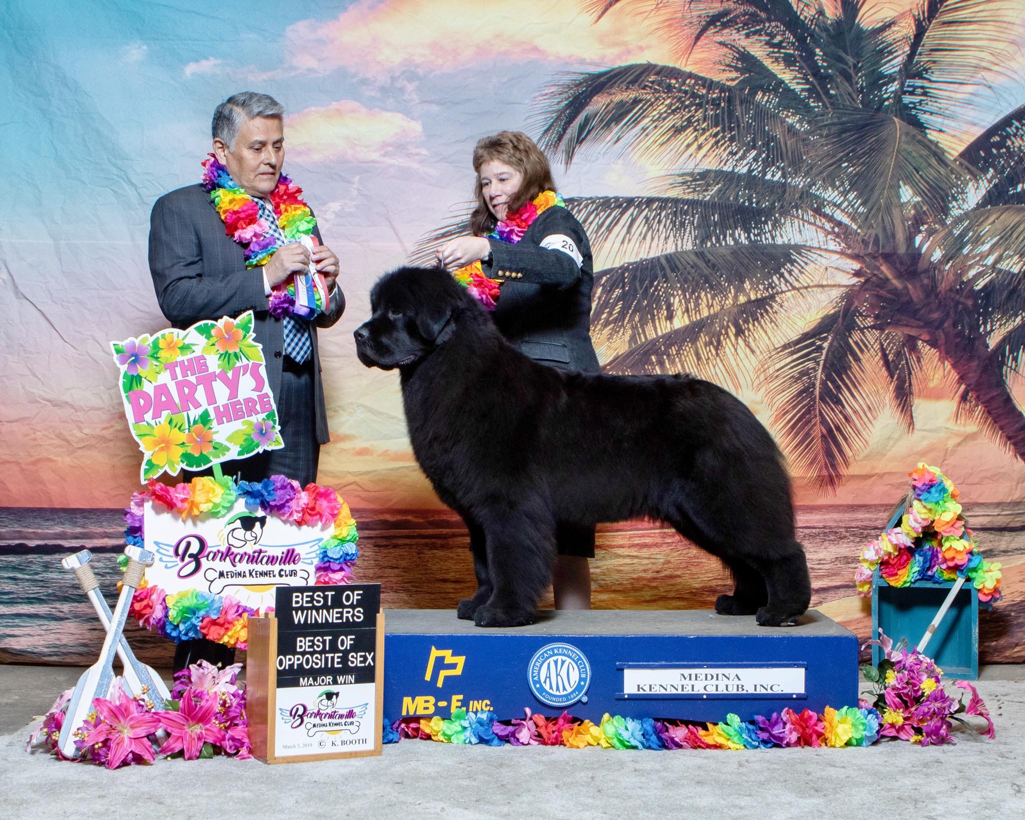 62A35224-6651-4E35-A486-EA75F61E2A0B