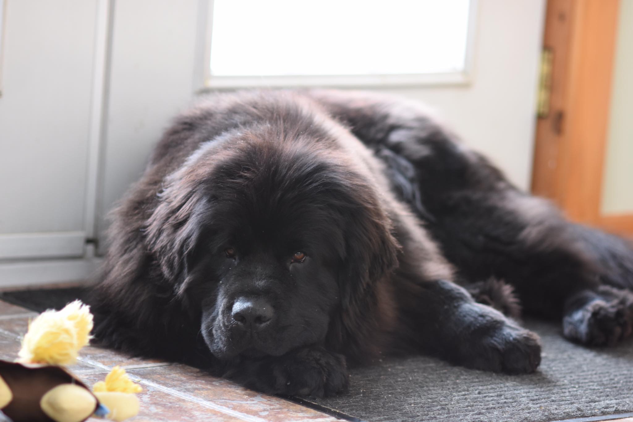 63601C6A-2288-4192-A607-531BD729D06C