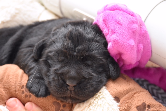 9795331F-1C77-431E-8655-C1646FC27599