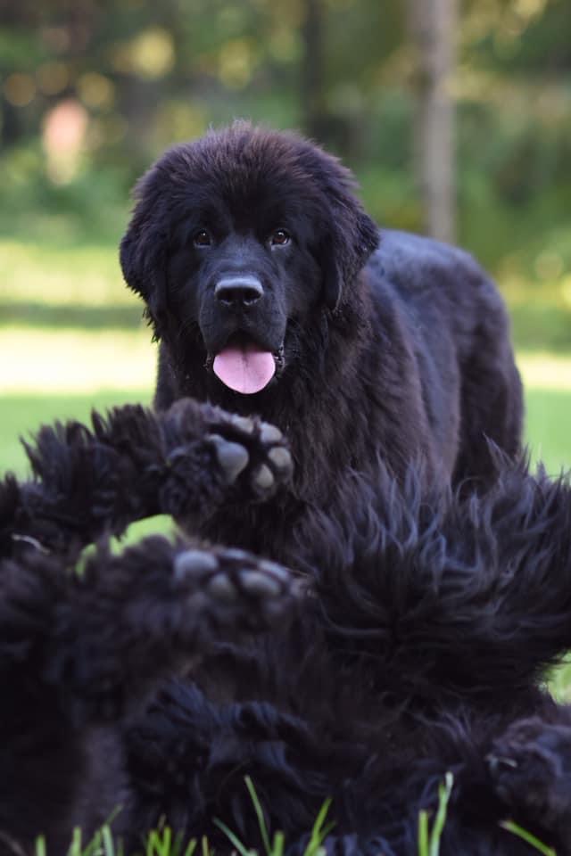 9F359634-2AB3-4B92-A266-4370BFE57181