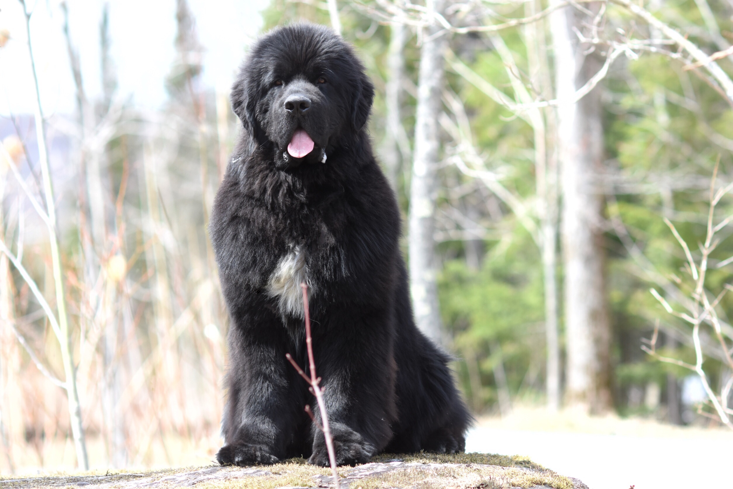 AA80081E-B657-4D48-A489-A10FE7AD90E9