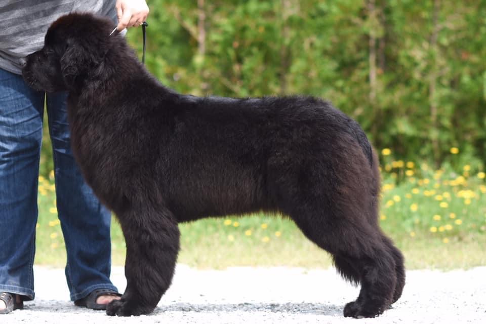 AD4DA66A-44FC-4613-8699-1E9390A27402