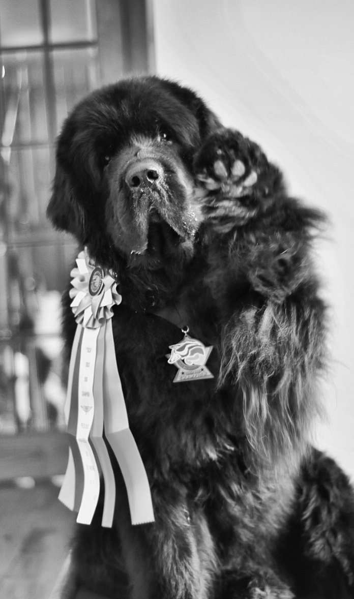 B266A897-0517-4BE1-974D-4D6D0E70E7BD