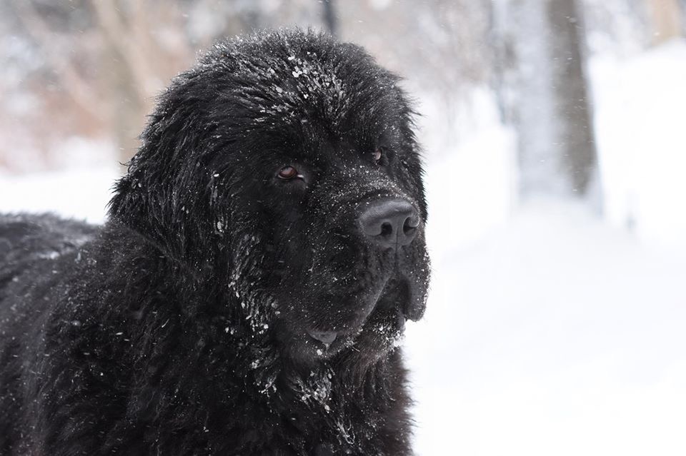 BD8C1F4B-3E07-4F72-AA44-DFCA730916AA