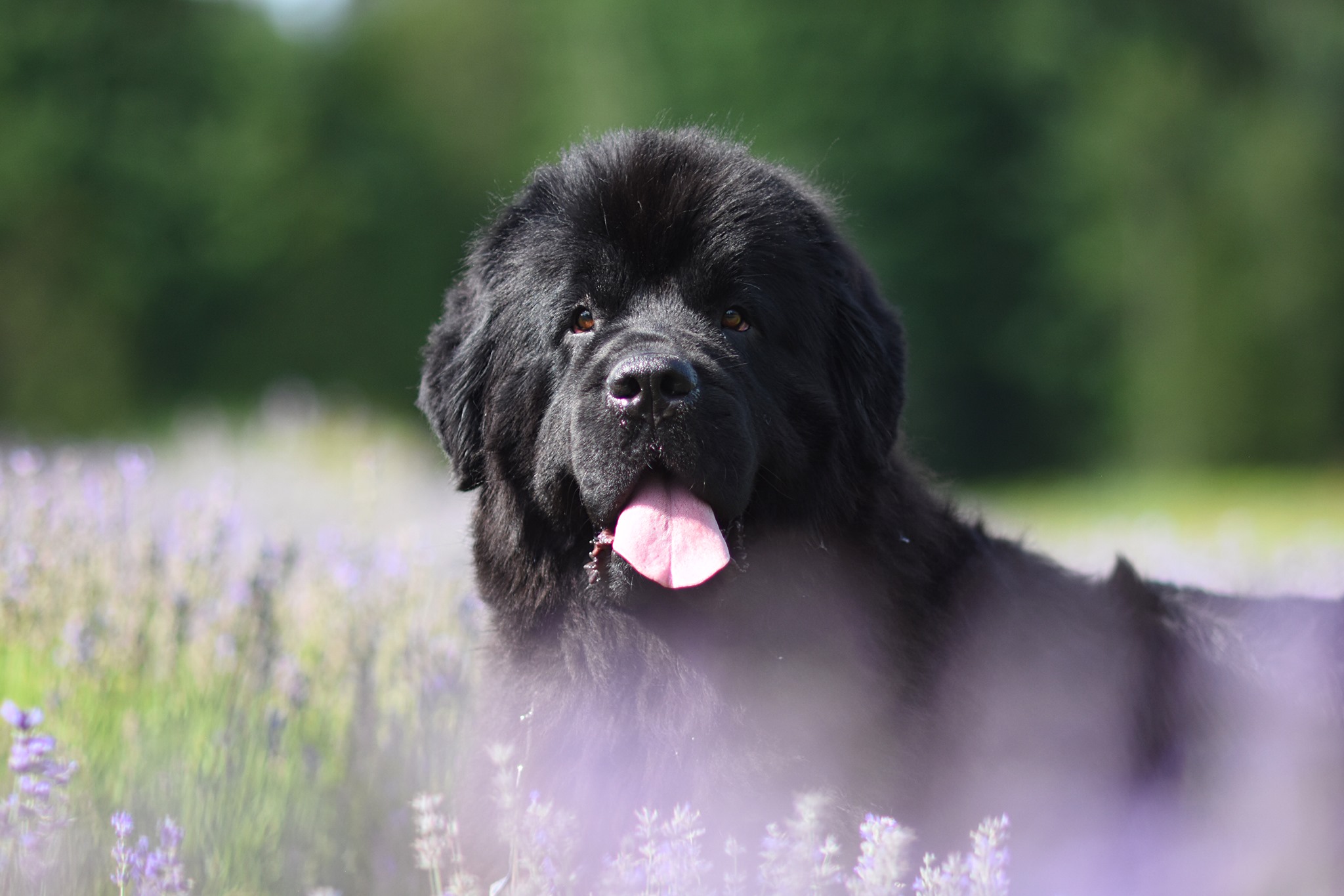 C49017AF-10D3-4986-AD1E-C2BFB7278C8B