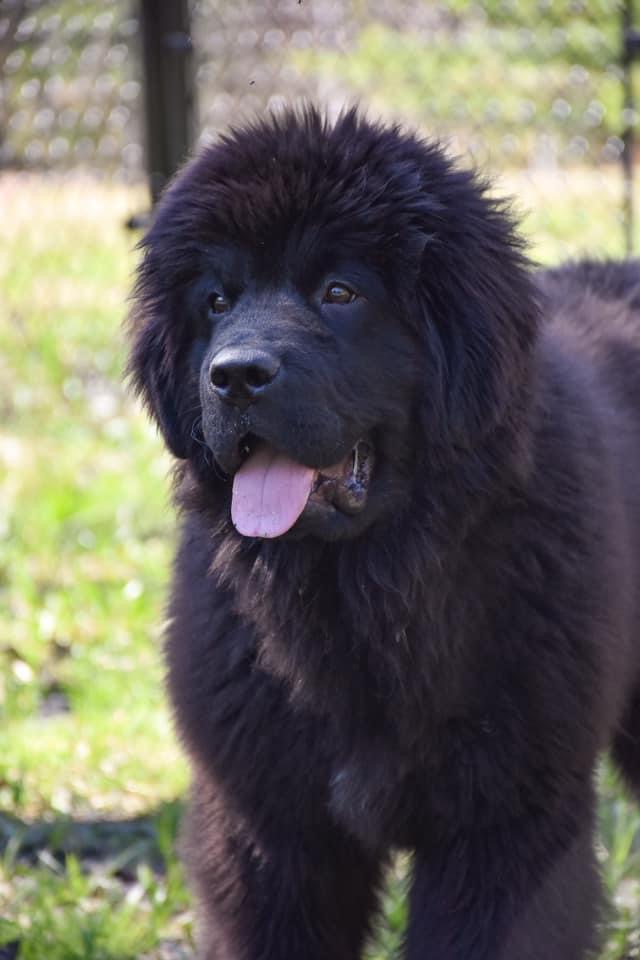 D4B982D0-2274-46D6-AE1A-7B7F11FBD239