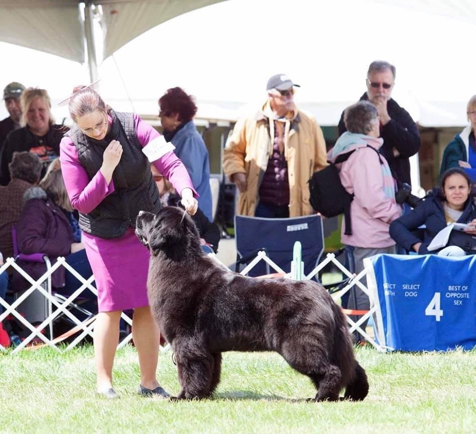 D8B74DB9-448C-4BFB-90E6-BA48903F20C0