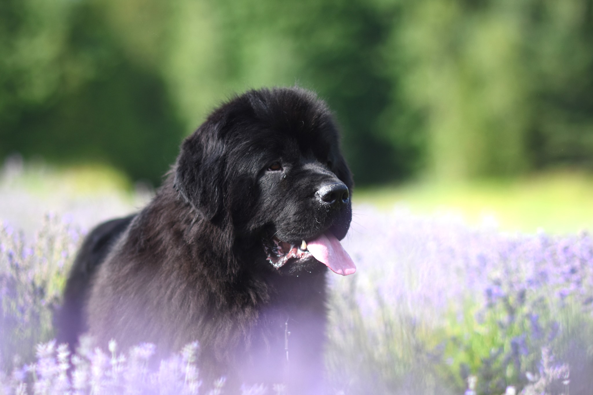 DED82D4F-3D89-4A7C-8DC3-3E41C7218B19