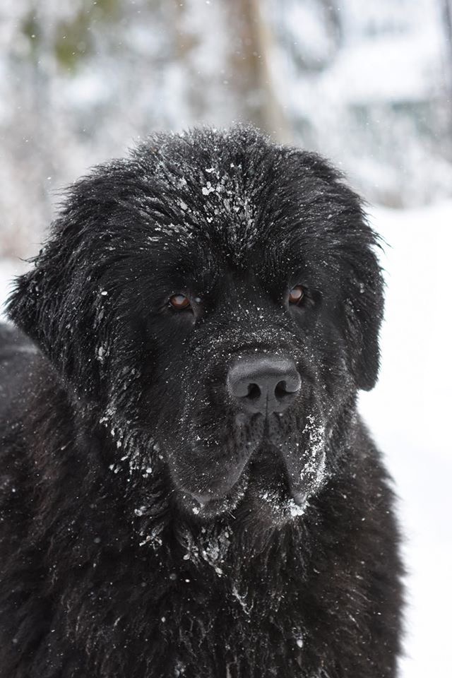 E79688E4-2E43-446B-AC3B-FFFA50E80126