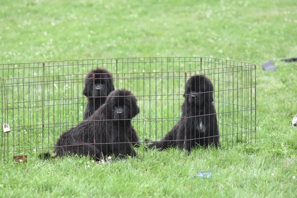 0B685BD8-2257-4D0A-95A8-9FFA347A48A8