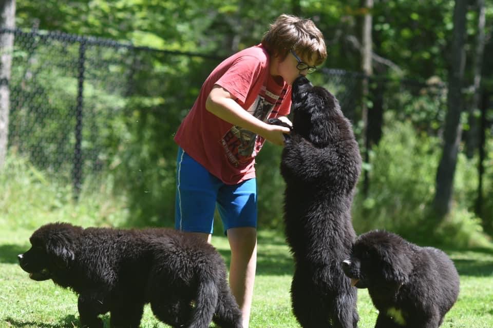 80DE9A23-E46B-489E-84C1-63F6B15AA80D