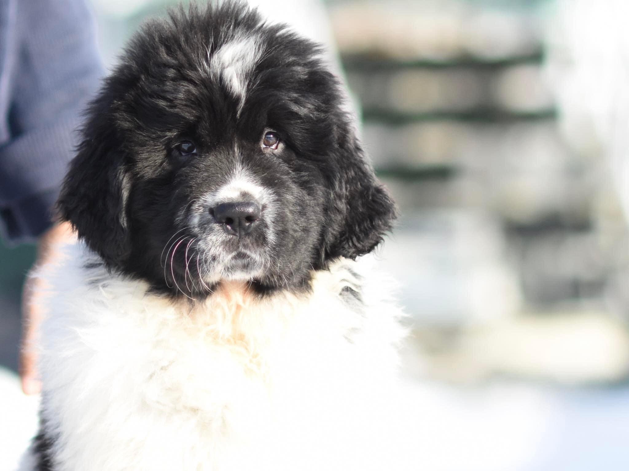 8F13138F-E94D-4CB1-A4D4-7F48772F8880