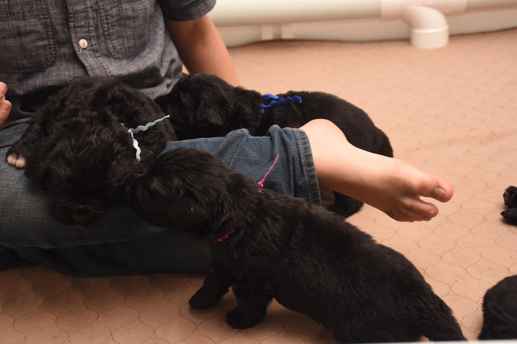 CC1326C7-7C41-4CCF-B222-D18426F00929