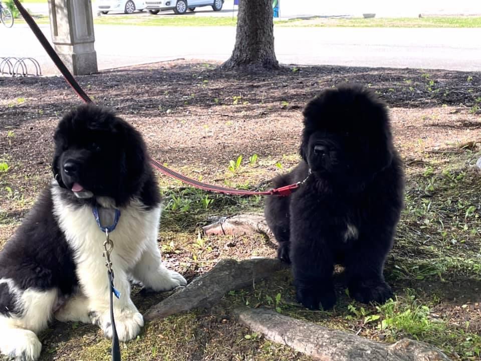 E0626419-2E1F-4617-8003-DDD5E17FBCA7