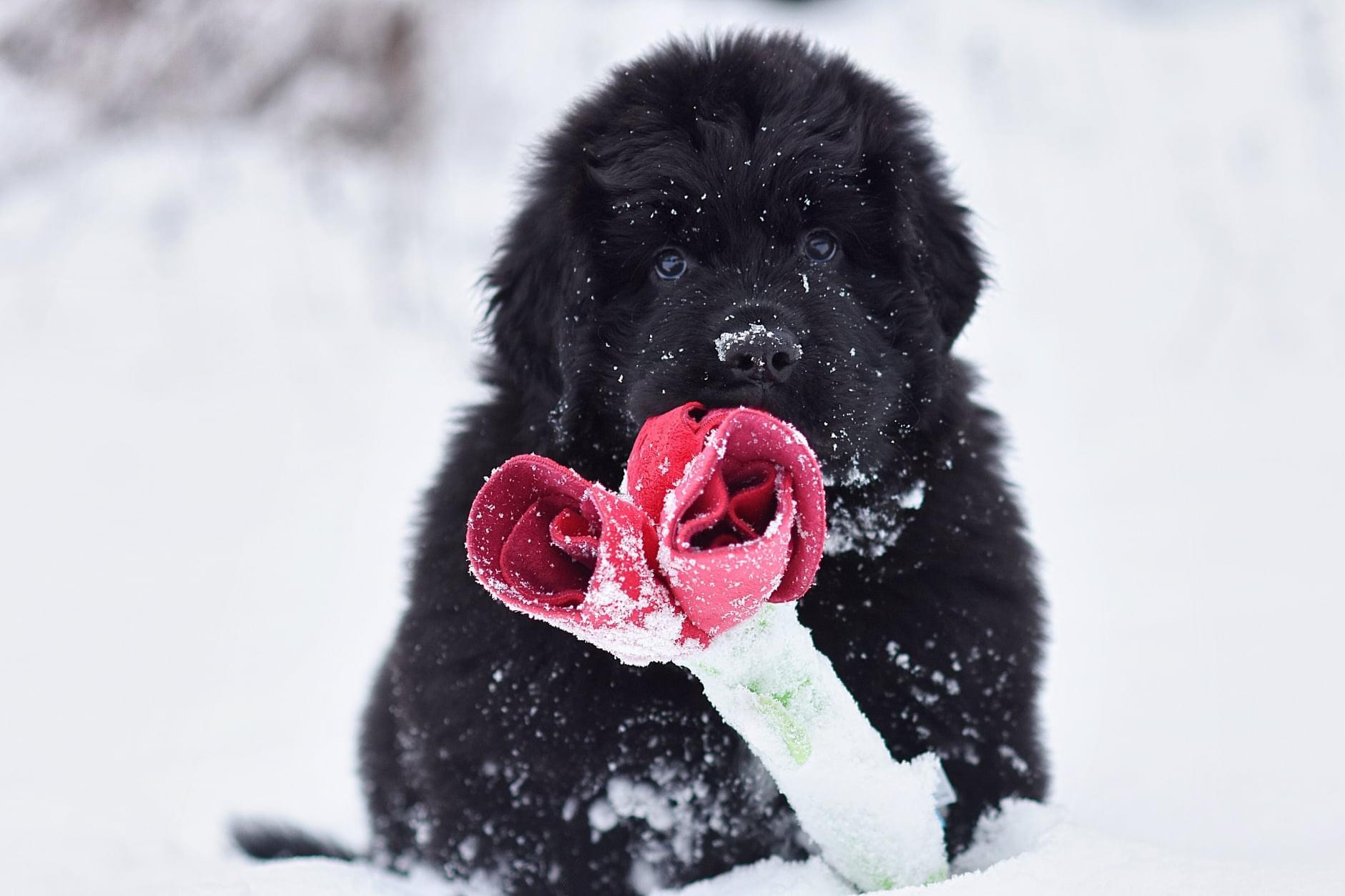 E88DFA25-06FB-483C-9314-6AC58ABD0671