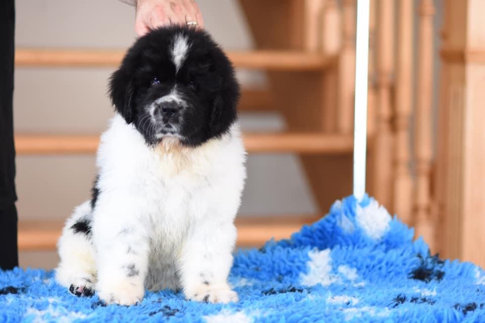 0CCEE083-53DA-4869-8567-317A0B40BC22