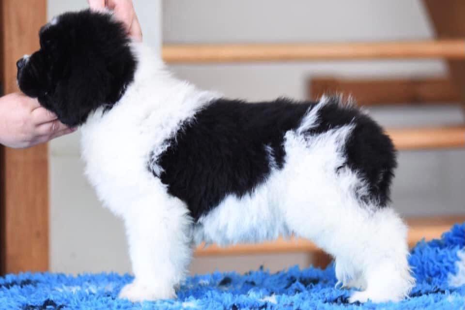 43DD424D-2FA6-4E31-938F-0EEDBDA800DA