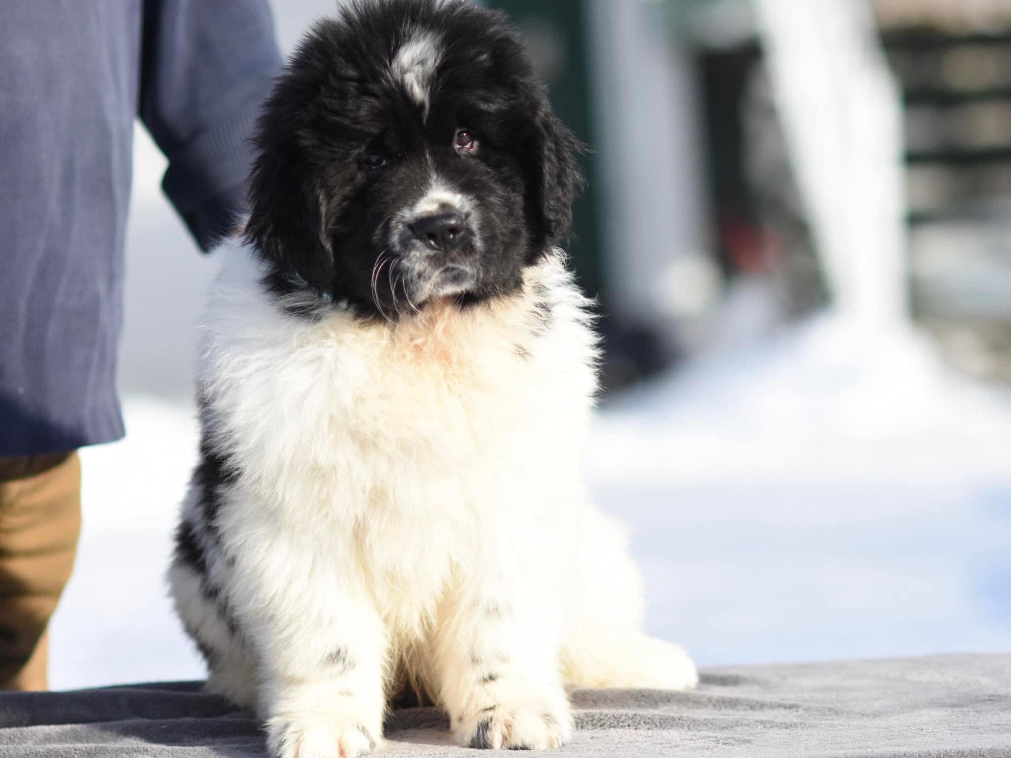 60A4A41C-8712-41A0-B3C8-089242E72BE8