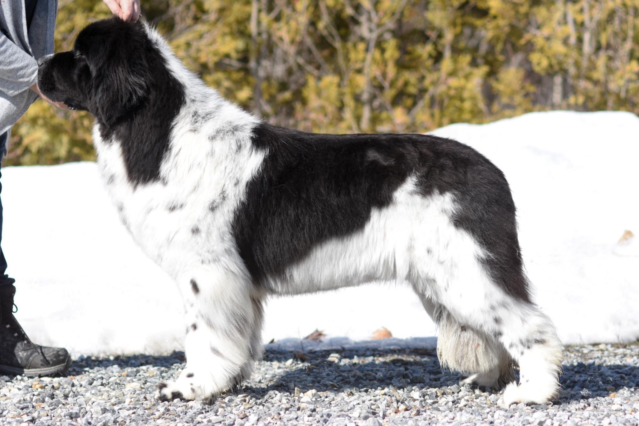 CBE8CB51-5F8E-4FFE-8D7C-3362BDD6B558