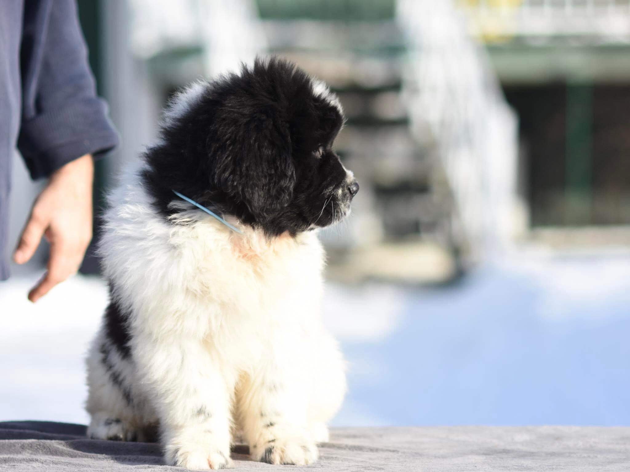 D2486490-F54A-468E-A81D-C20D1BF947B1