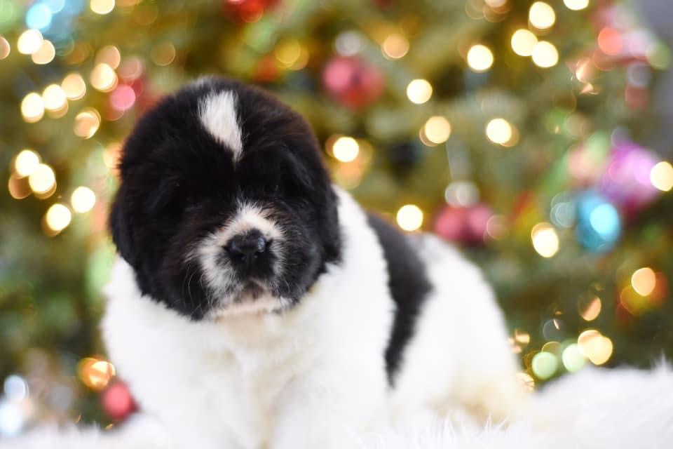 E5106D8C-679A-408E-BDE9-3291C4E7EA9F