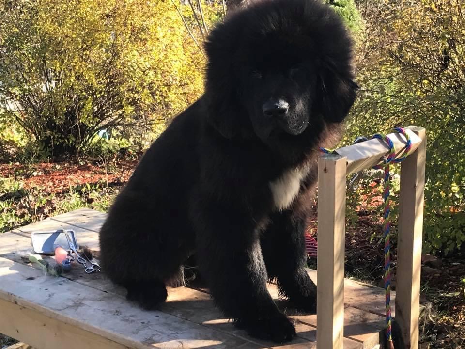 0F83A26D-A703-4A03-9650-E03CD0C1BDF0