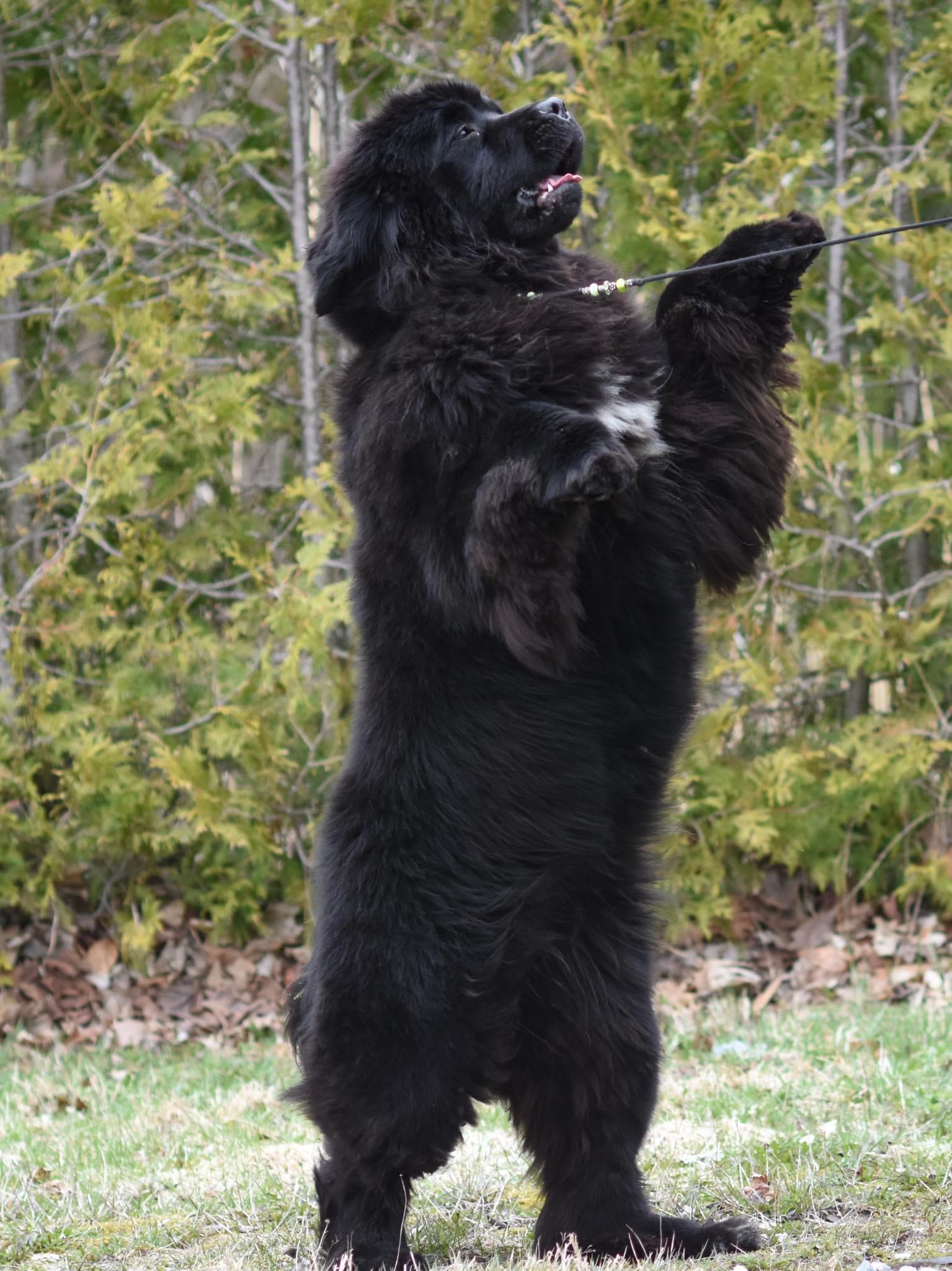 1FE342B9-0E4F-4C9A-9844-848B2A796EEF