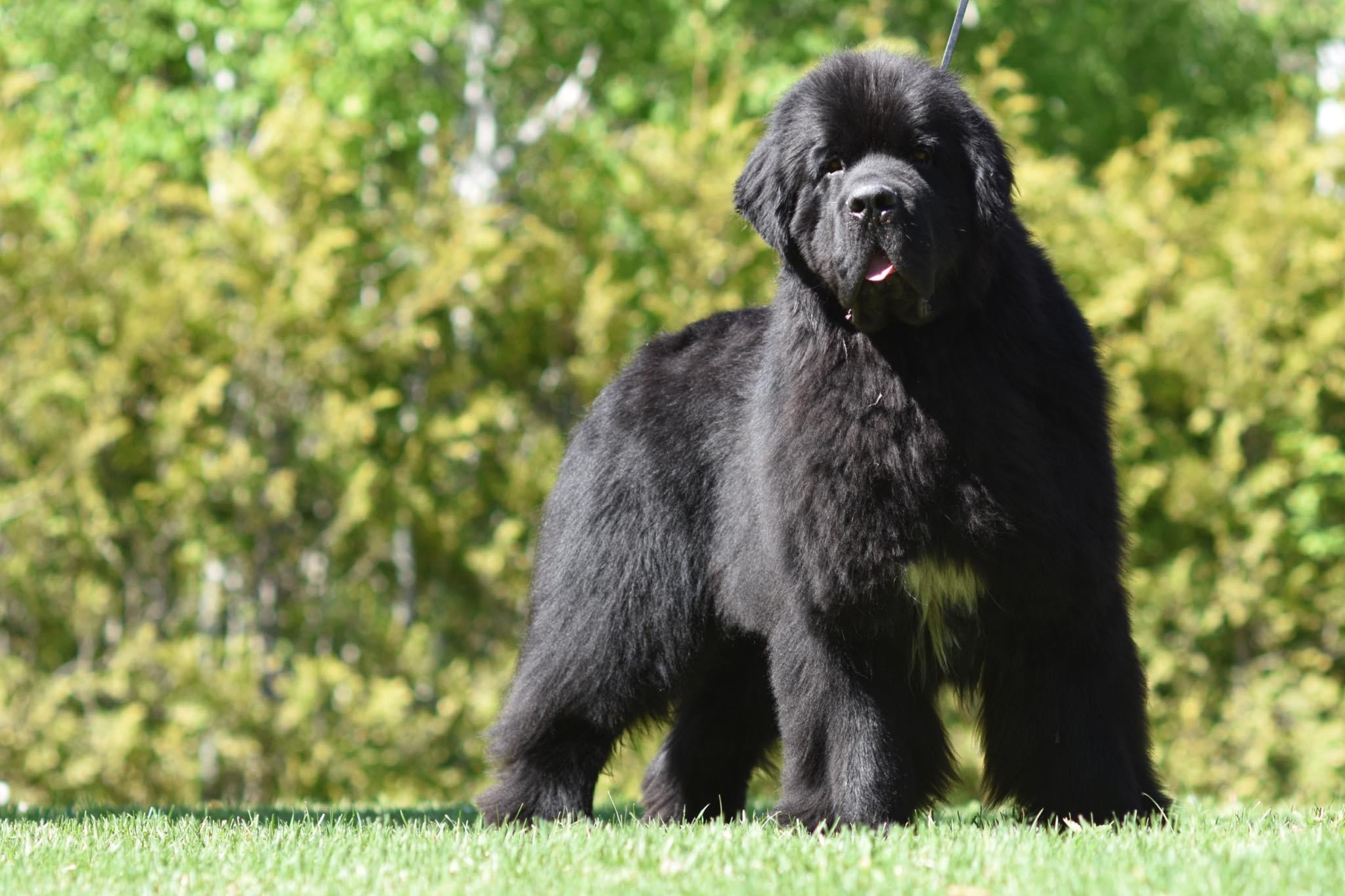 2136D647-59F8-4C50-AD90-B3DA05869C98