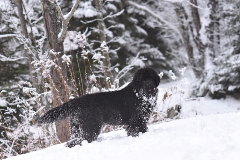 24B74CB7-6F01-4CD1-851B-021B62CD41A9