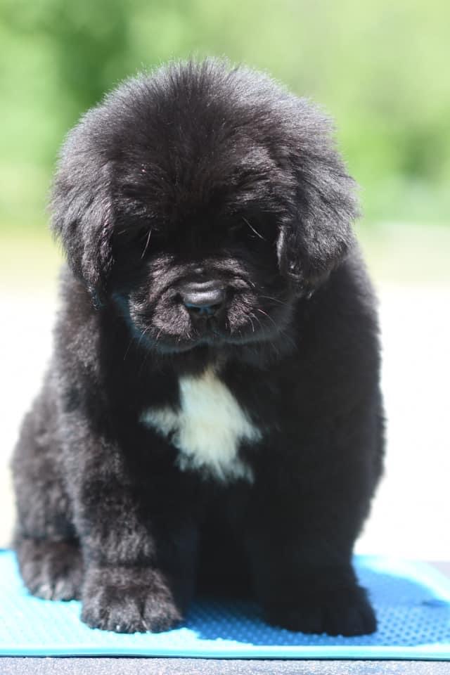 278ECD8C-36BC-4F10-82B0-D7B773E4D714